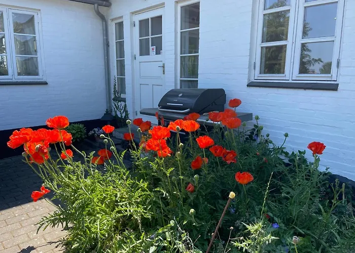 Heidis Residence-sandkaas, Bornholm Allinge-Sandvig