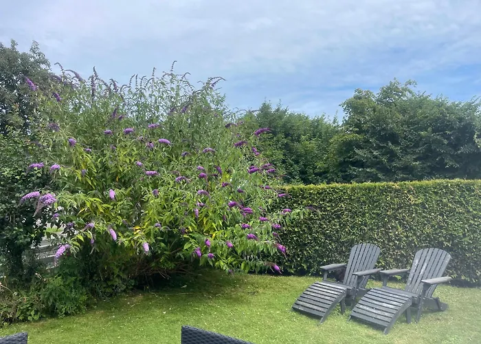 Heidis Residence-sandkaas, Bornholm Allinge-Sandvig